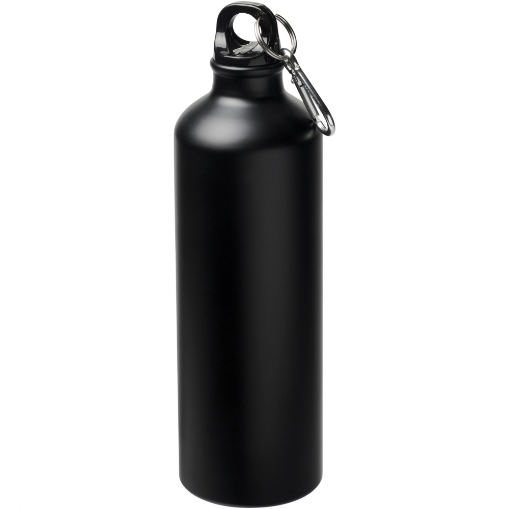 Logotrade promotional merchandise photo of: Oregon 770 ml matte water bottle with carabiner