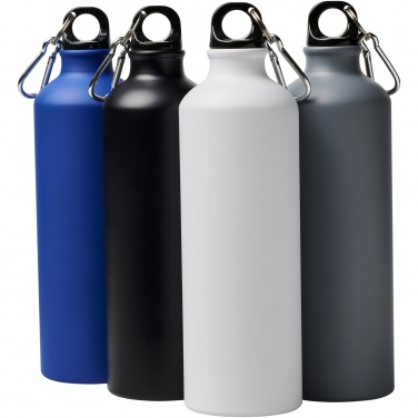 Logo trade promotional gifts picture of: Oregon 770 ml matte water bottle with carabiner