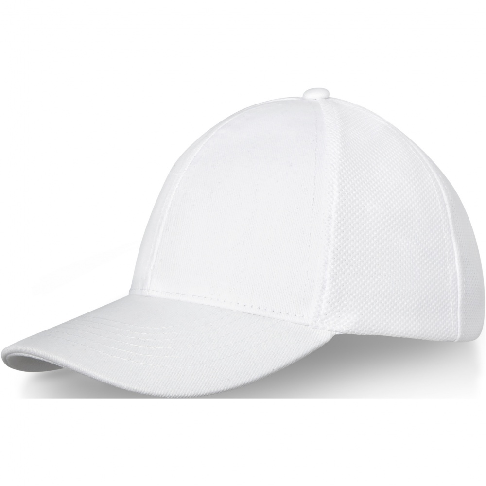 Logo trade promotional merchandise image of: Drake 6 panel trucker cap
