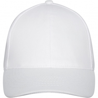 Logo trade promotional items picture of: Drake 6 panel trucker cap