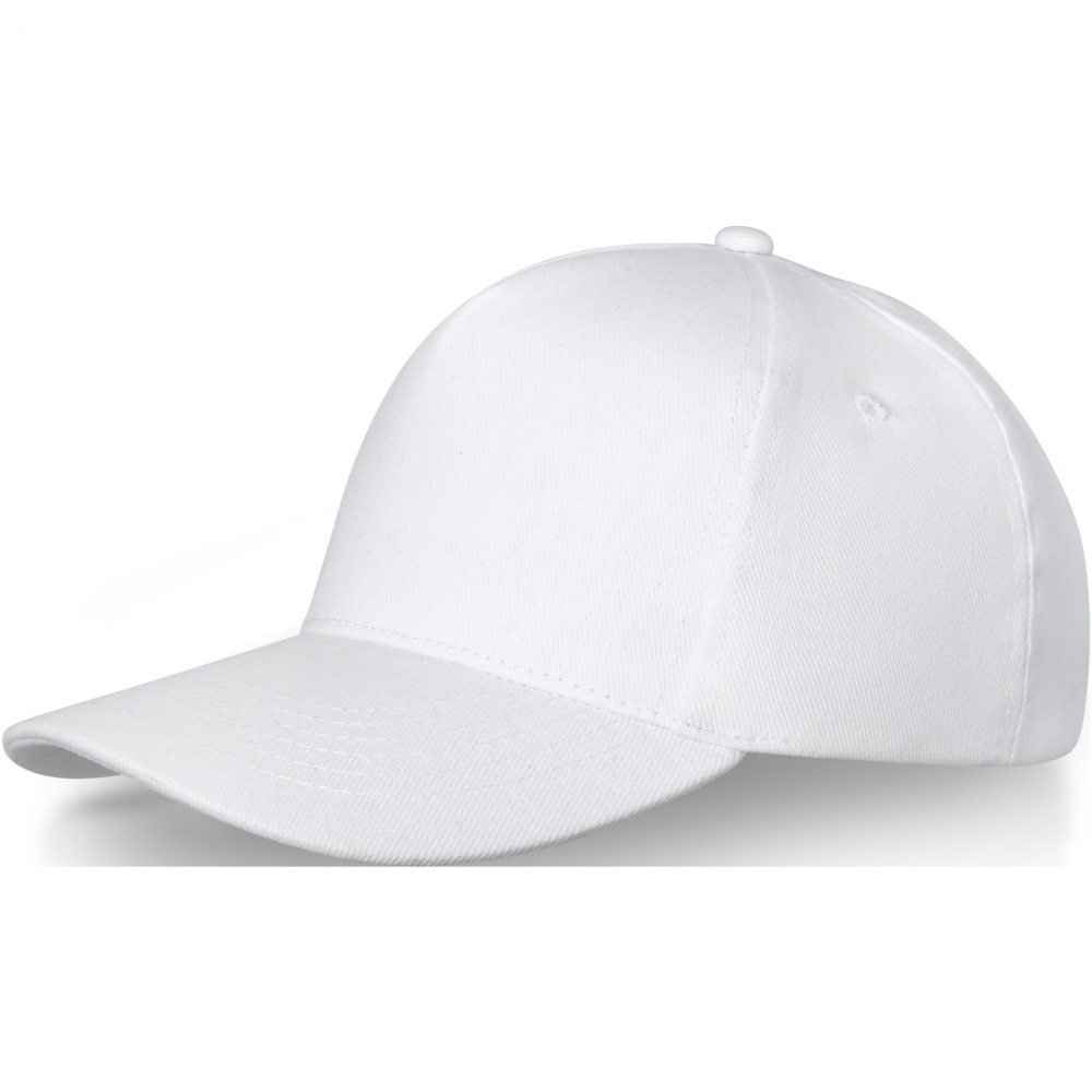 Logotrade promotional product picture of: Doyle 5 panel cap