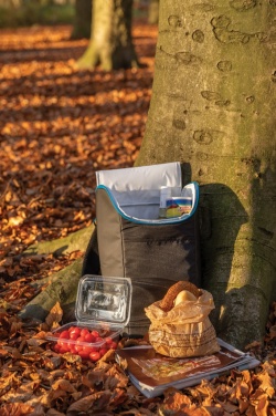 Logo trade corporate gifts image of: Explorer outdoor cooler backpack