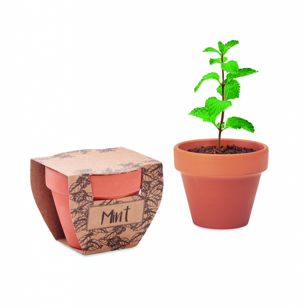 Logotrade business gift image of: Terracotta pot mint seeds