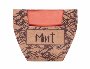 Logotrade advertising products photo of: Terracotta pot mint seeds