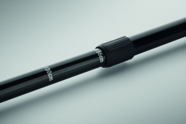 Logotrade promotional gift picture of: Nordic walking poles