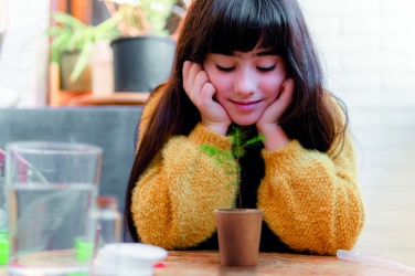 Logotrade business gift image of: Pine tree set