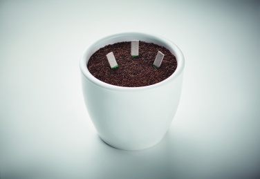 Logo trade promotional products image of: Herb seeds sticks