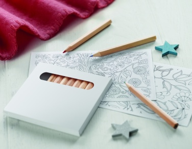 Logotrade corporate gift picture of: Drawing adult set