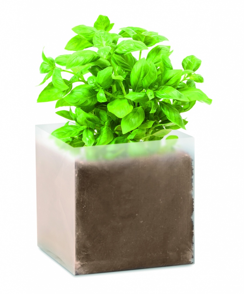 Logotrade promotional product image of: Compost with seeds "BASIL"