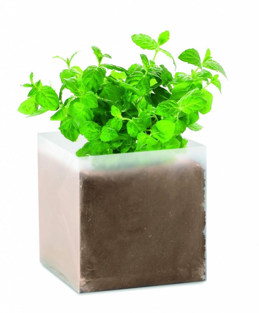 Logotrade promotional item picture of: Compost with seeds "MINT"