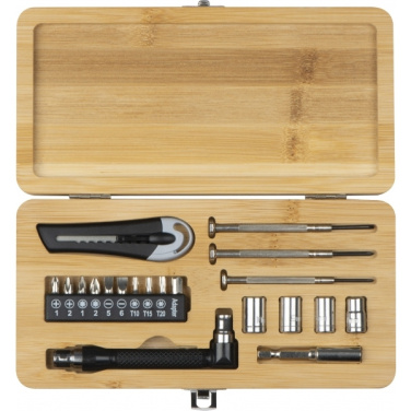 Logotrade promotional giveaway image of: 22-piece tool set BERINGEN