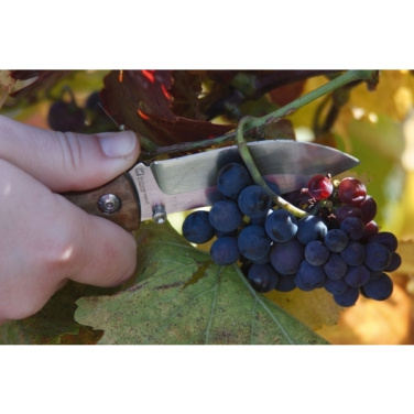 Logo trade promotional merchandise image of: Pocket knife JUNGLE Schwarzwolf