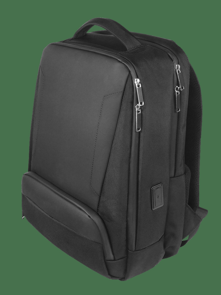 Logotrade promotional merchandise picture of: Laptop backpack 190603400