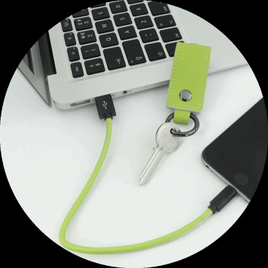 Logo trade promotional merchandise image of: Keyring 59612900