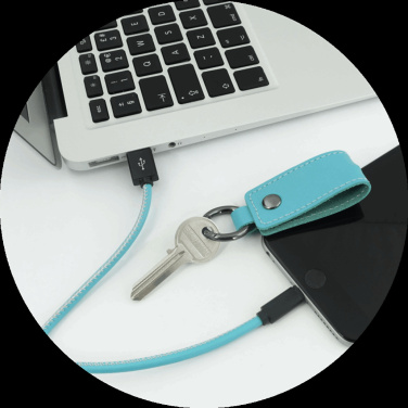 Logo trade promotional products picture of: Keyring 59612900