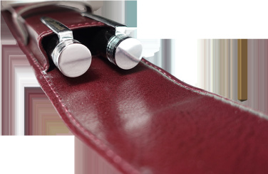 Logo trade promotional product photo of: Pen case 236019