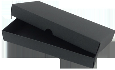 Logo trade promotional products picture of: Pen case 236019