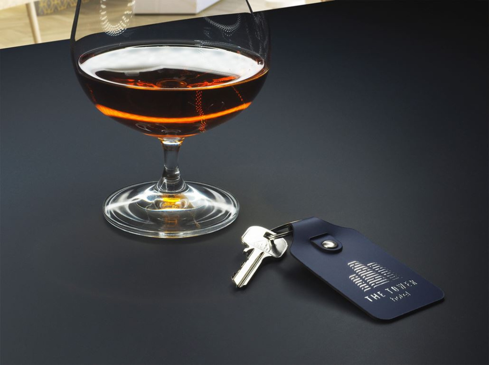 Logotrade promotional product picture of: Keyring 1200094