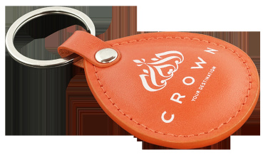 Logotrade promotional merchandise picture of: Keyring 573131