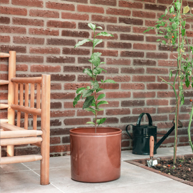 Logotrade promotional gift picture of: Treemore Letterbox Trees Tea plant