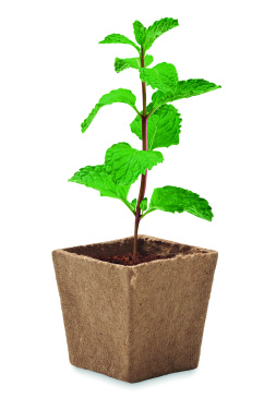 Logo trade promotional item photo of: Mint seeds growing kit
