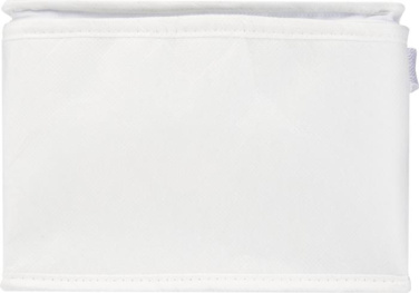 Logotrade advertising product image of: Spectrum 6-can recycled non-woven cooler bag 4L