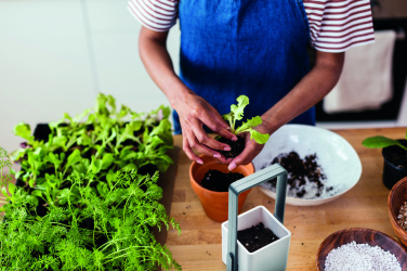 Logo trade promotional gift photo of: Indoor garden with LED light