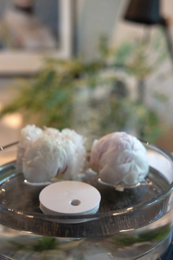 Logo trade promotional items picture of: Breevia RCS rplasic re-chargeable floating humidifier