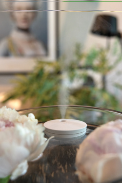 Logotrade corporate gift image of: Breevia RCS rplasic re-chargeable floating humidifier