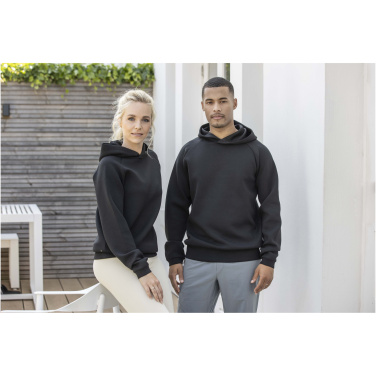 Logotrade promotional merchandise picture of: Danali unisex interlock sports hoodie