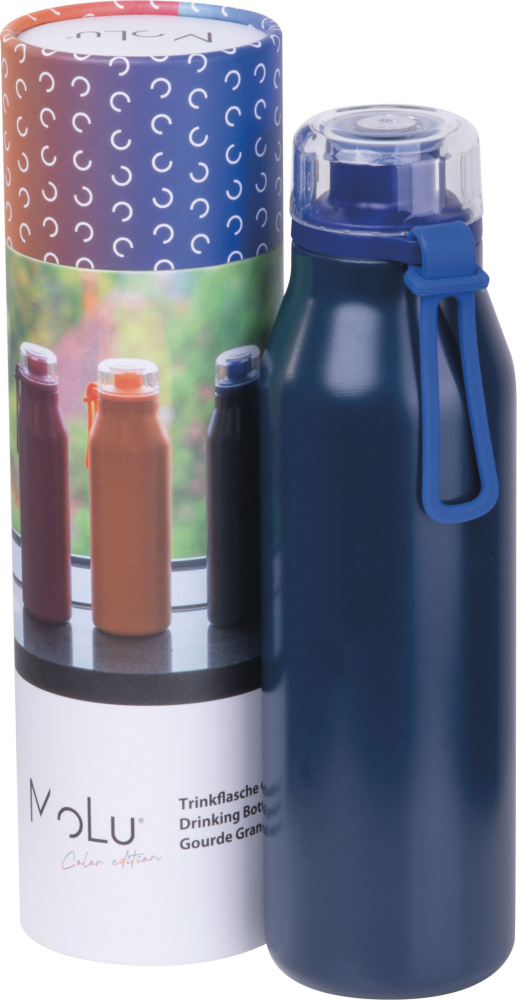 Logotrade promotional product picture of: Water bottle Grand Haven MoLu
