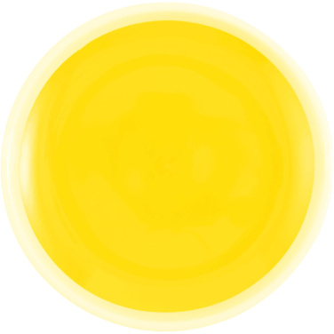 Logotrade corporate gift picture of: Flicka catch and play ball game