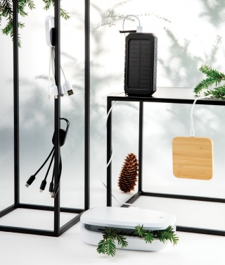 Logotrade reklaamkingid pilt: 4-ühes laadimiskaabel karabiiniga