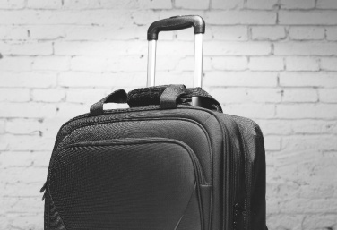 Logotrade firmakingituse foto: Ärikäru