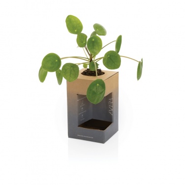 Logotrade liikelahja tuotekuva: Avira Alya RCS Re-steel matkamuki 300 ml