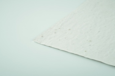 Logo trade mainoslahjat tuotekuva: Niittykukan siemeniä A6