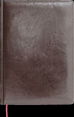 Logo trade liikelahja mainoslahja tuotekuva: Kalenteri 642131