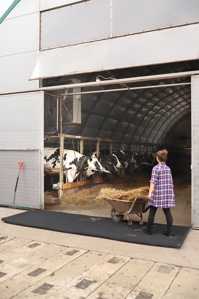 Лого трейд pекламные продукты фото: Перекрёстный дезинфицирующий коврик 120x300x4cm 1384087