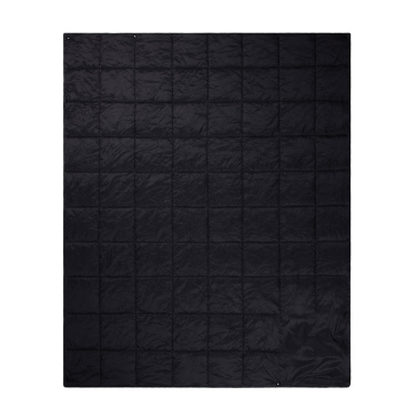 Лого трейд pекламные cувениры фото: Плед Nordic Drift GRS 3-в-1 для приключений